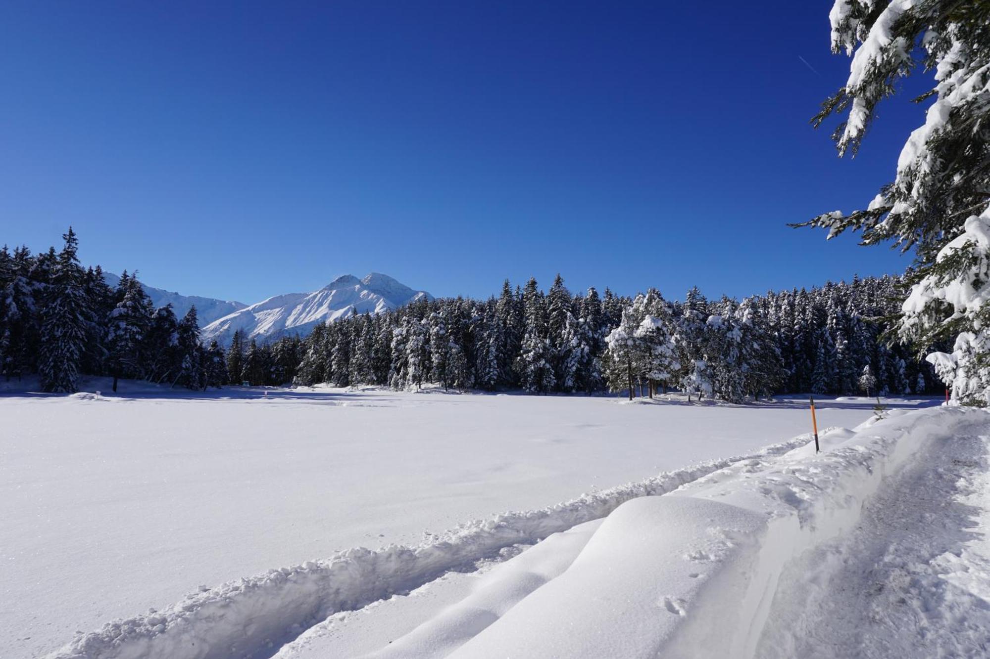 Hotel Pension Tyrol Зеефельд в Тироле Экстерьер фото